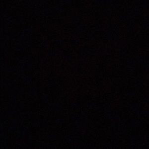 Meet your Posher, Mackenzie